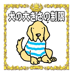 横浜市の犬も行けるカフェなら犬と入れるドッグカフェSmiley-Smile